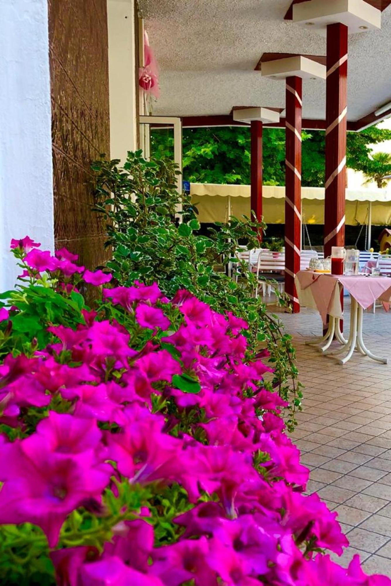 Hotel Alessi** Rimini Exteriér fotografie